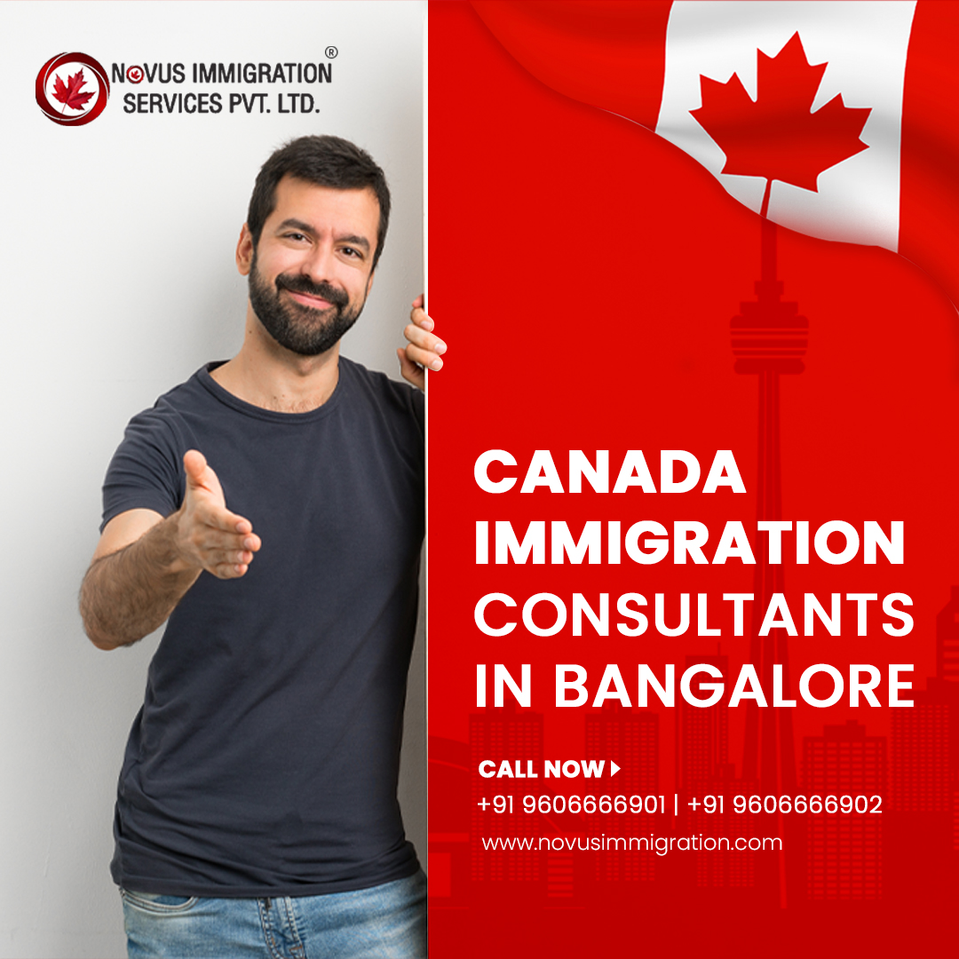 Reasons Why You Must Hire the Best Immigration Consultant? – Novusimmigration.com