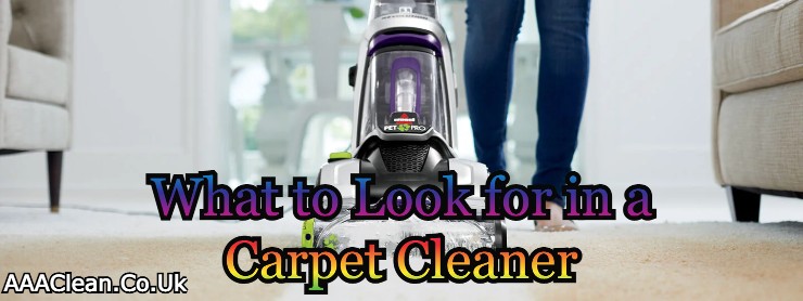What to Look for in a Carpet Cleaner