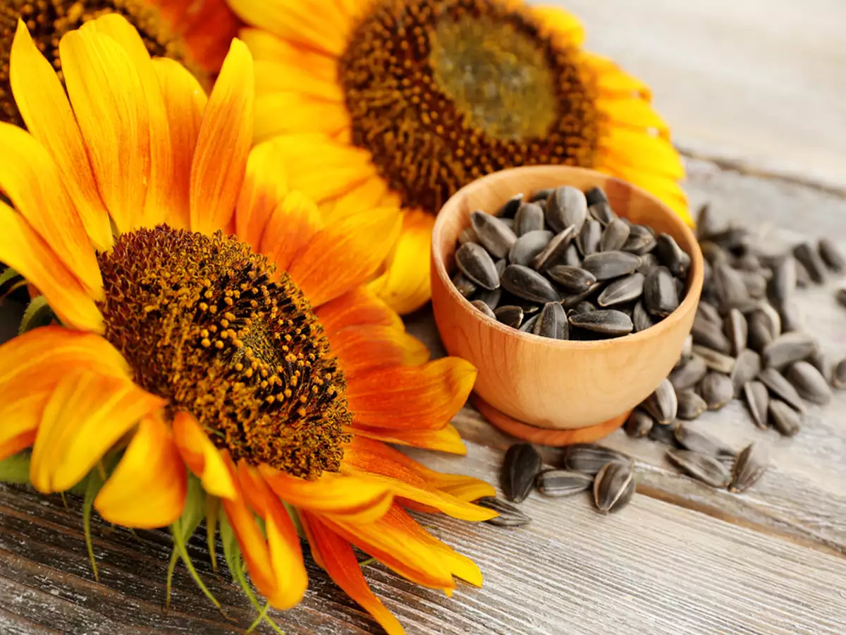 Are sunflower seeds good for health?