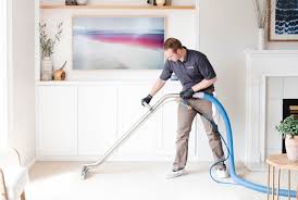 10 Reasons To Choose A Professional Carpet Cleaner