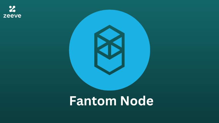 Monitoring performance and resource utilization of a Fantom node