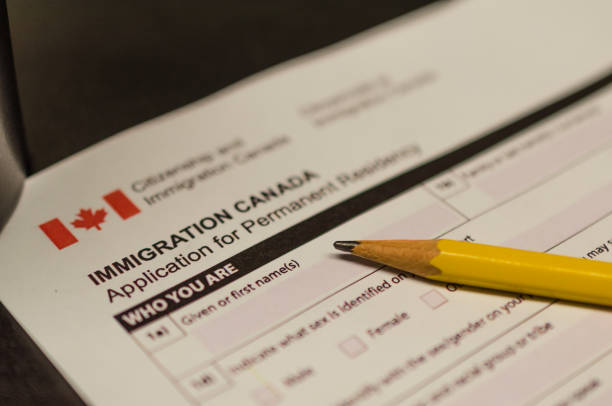 The Canada Job Search Visa Process – Things You Should Know