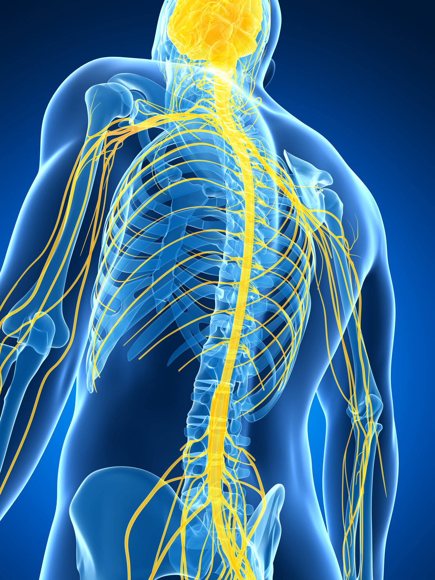what does neuropathic pain mean?