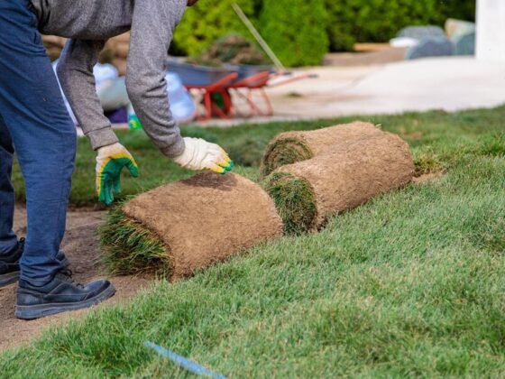 types of turf