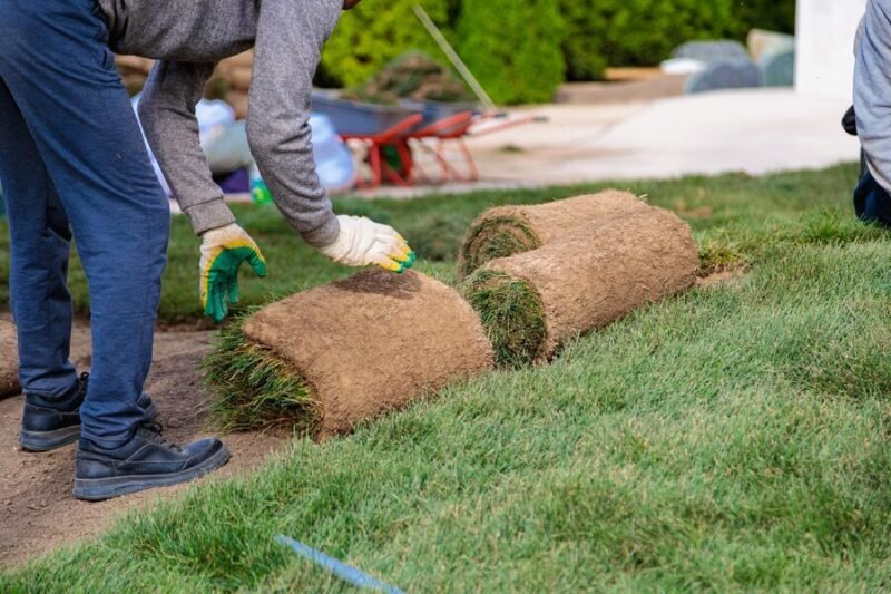 types of turf