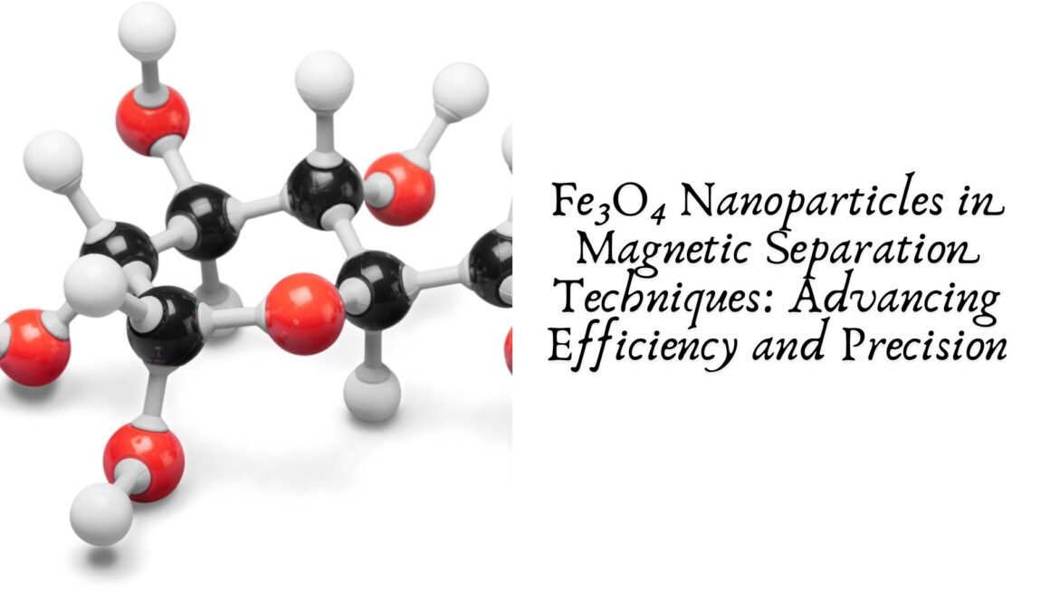 Fe₃O₄ Nanoparticles in Magnetic Separation Techniques: Advancing Efficiency and Precision