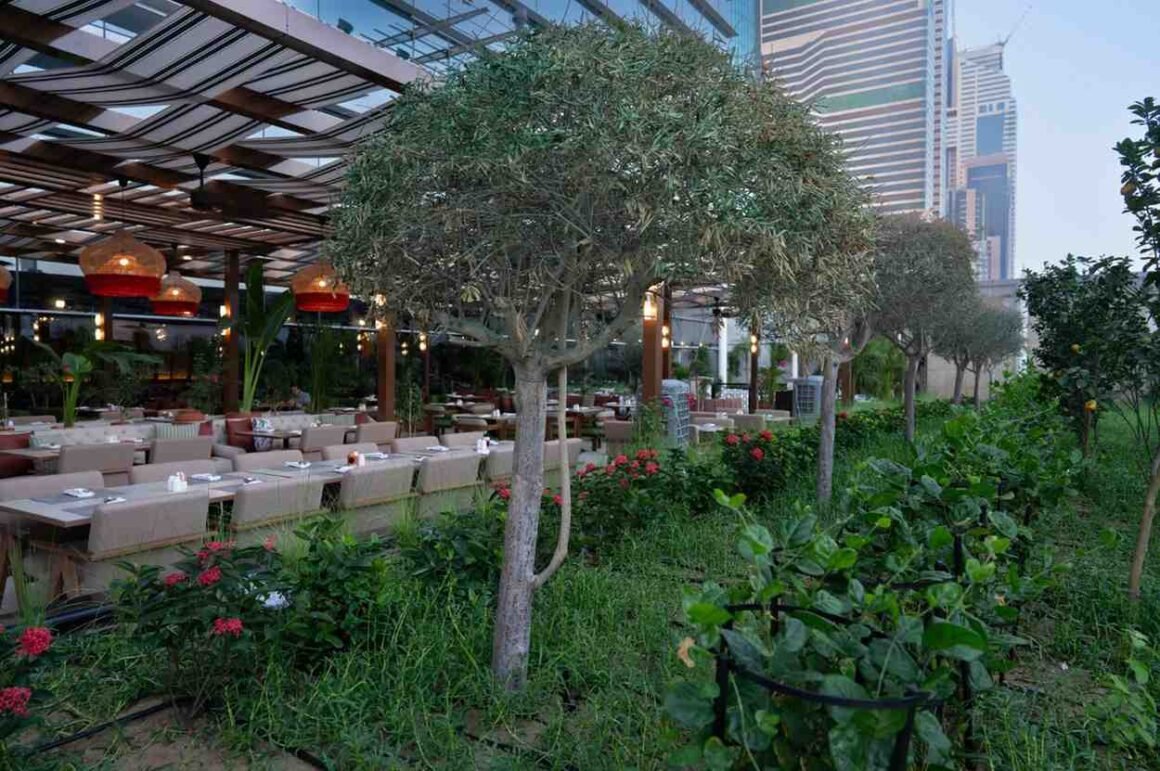 Green Revolution: Discovering The Life-Changing Power Of Outdoor Planting