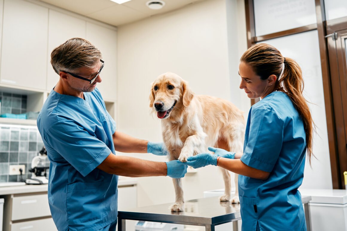 Veterinary Clinic