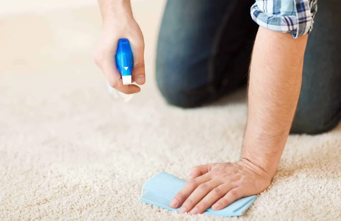 Rug Stain
